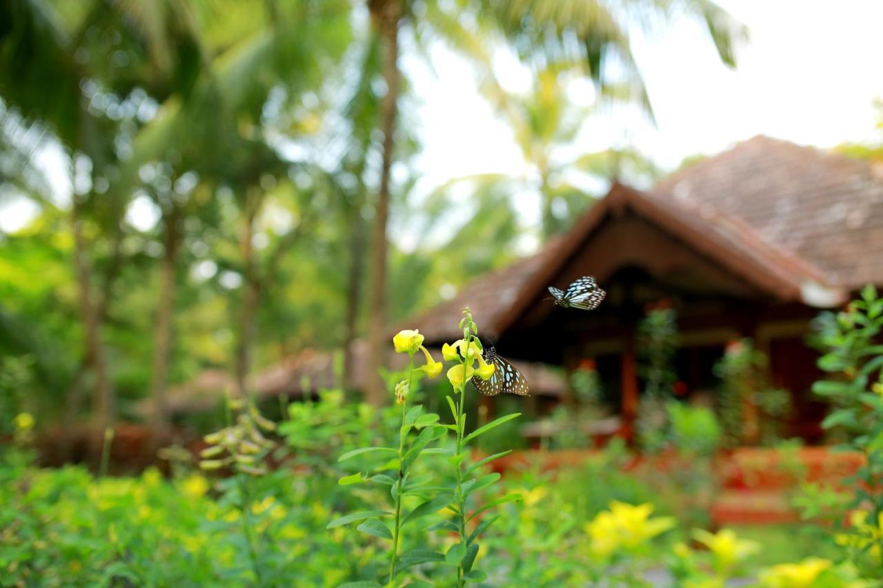 The Nattika Beach Resort Thrissur Екстериор снимка