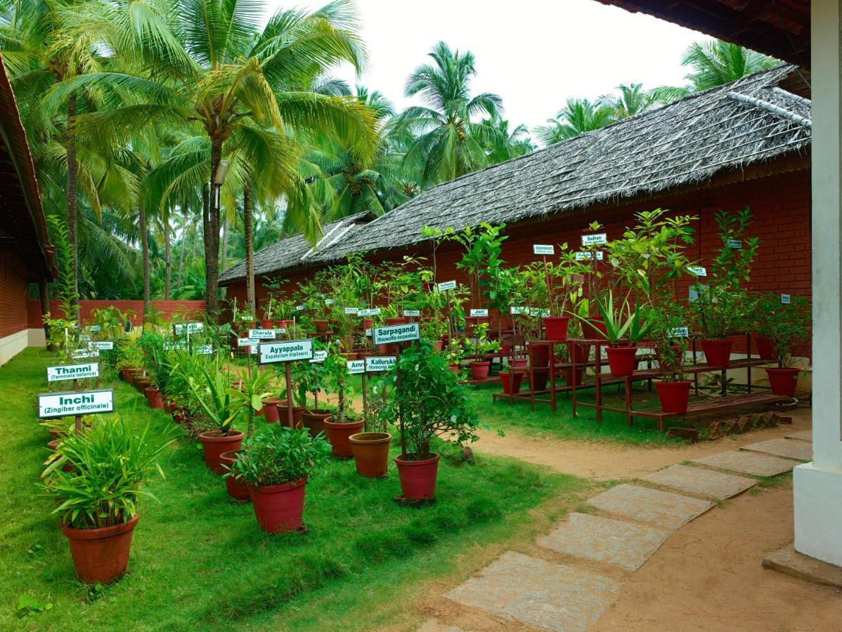 The Nattika Beach Resort Thrissur Екстериор снимка